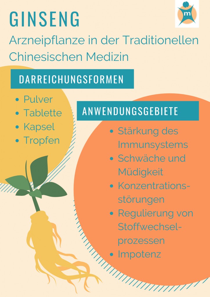 Ginseng | Ihre Apotheke informiert über Heilpflanzen › Info-Seite -  medikamente-per-klick