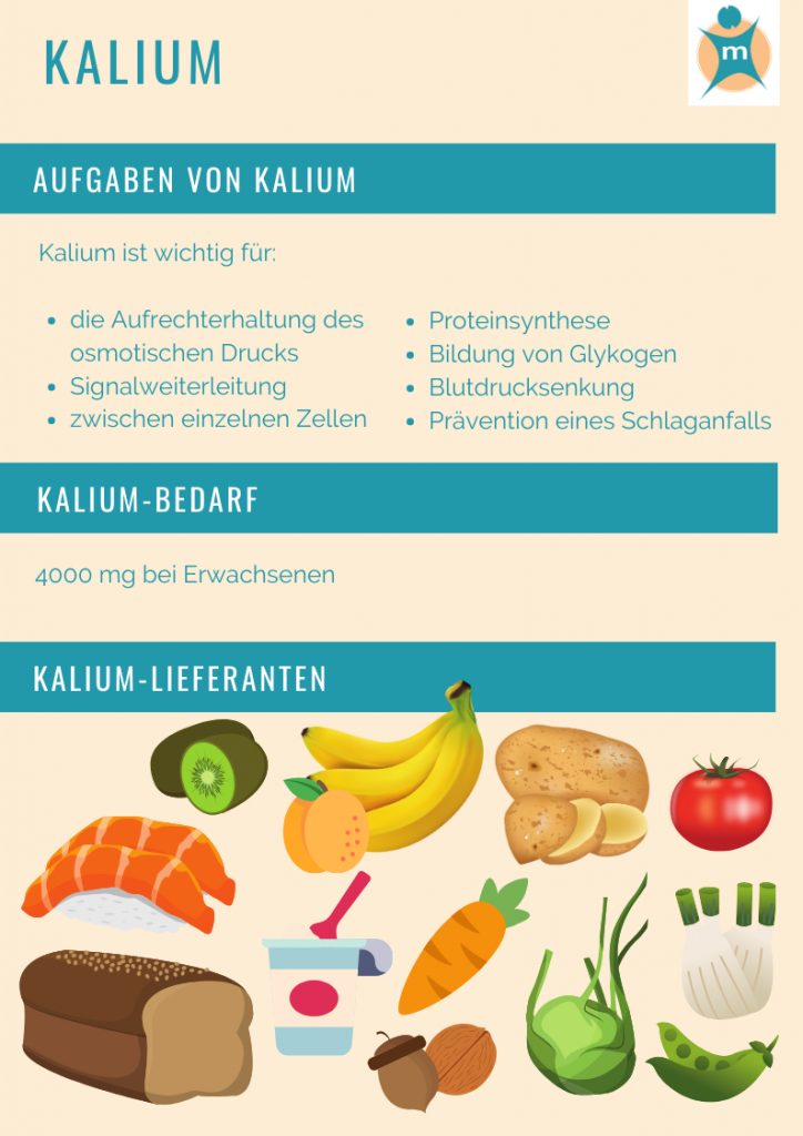 Kalium | Ihre Apotheke informiert über Ernährung