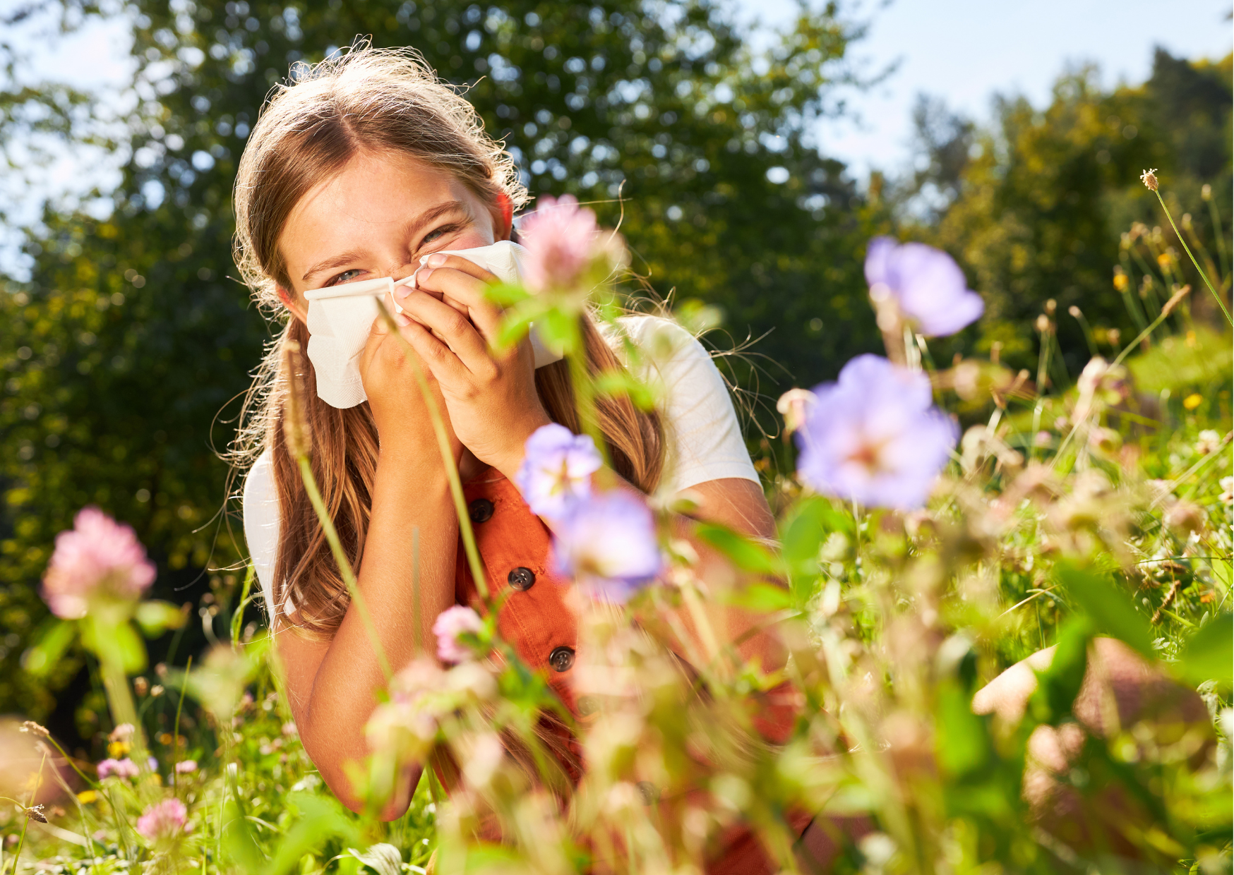 Heuschnupfen (Pollenallergie) | Ihre Apotheke informiert