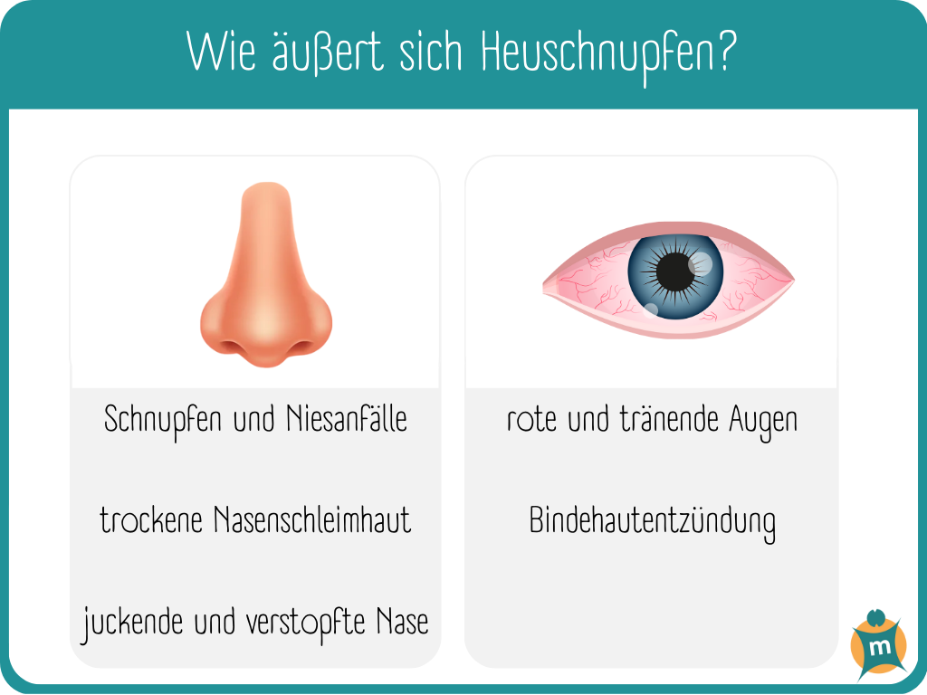 Heuschnupfen (Pollenallergie) | Ihre Apotheke informiert › Info-Seite -  medikamente-per-klick