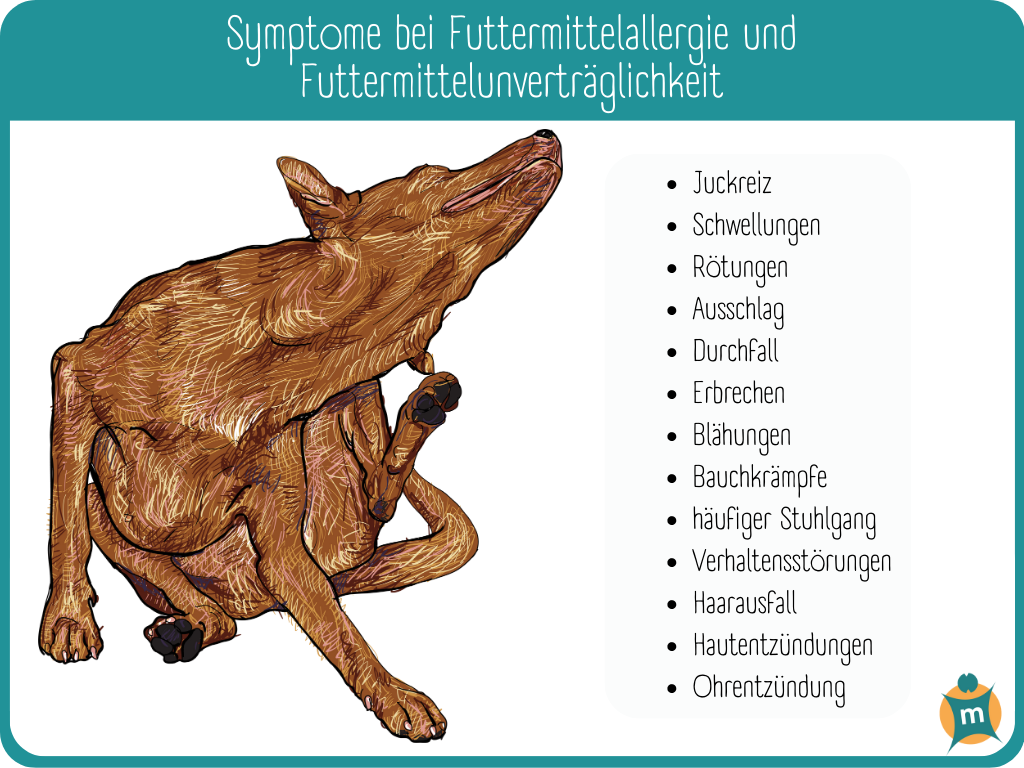 Futtermittelallergien und Futtermittelunverträglichkeiten bei Hunden ›  Info-Seite - medikamente-per-klick