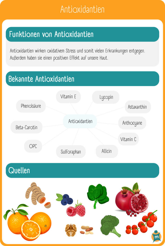 Infografik zu Antioxidantien