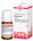 MEZEREUM D 4 Tabletten - 80Stk