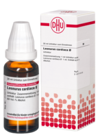 LEONURUS CARDIACA Urtinktur - 20ml