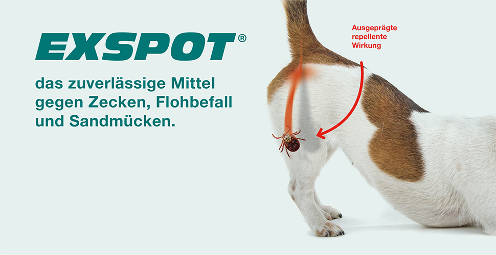 EXSPOT Lösung f.Hunde (6X2 ml) - medikamente-per-klick.de