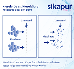SIKAPUR Kieselsäure Softgel Kapseln mit Biotin (90 Stk) -  medikamente-per-klick.de