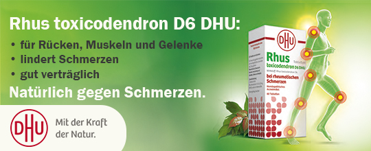 RHUS TOXICODENDRON D 6 Tabl.bei rheumat.Schmerzen (80 Stk) -  medikamente-per-klick.de