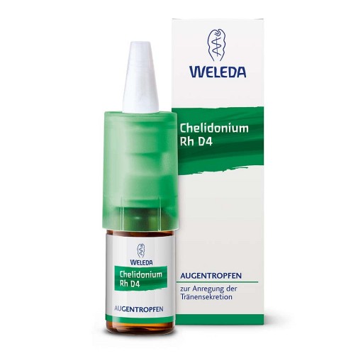CHELIDONIUM AUGENTROPFEN Rh D 4 (10 ml) - medikamente-per-klick.de