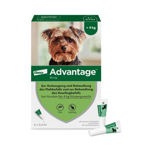 ADVANTAGE 40 Lösung f.Hunde bis 4 kg (4 Stk) - medikamente-per-klick.de