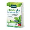 KORIANDER-TRUNK (50 ml) - medikamente-per-klick.de