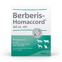 BERBERIS HOMACCORD ad us.vet.Ampullen - 5X5ml - Homöopathie