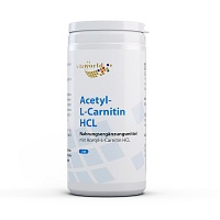 ACETYL-L-CARNITIN HCL Kapseln - 120Stk